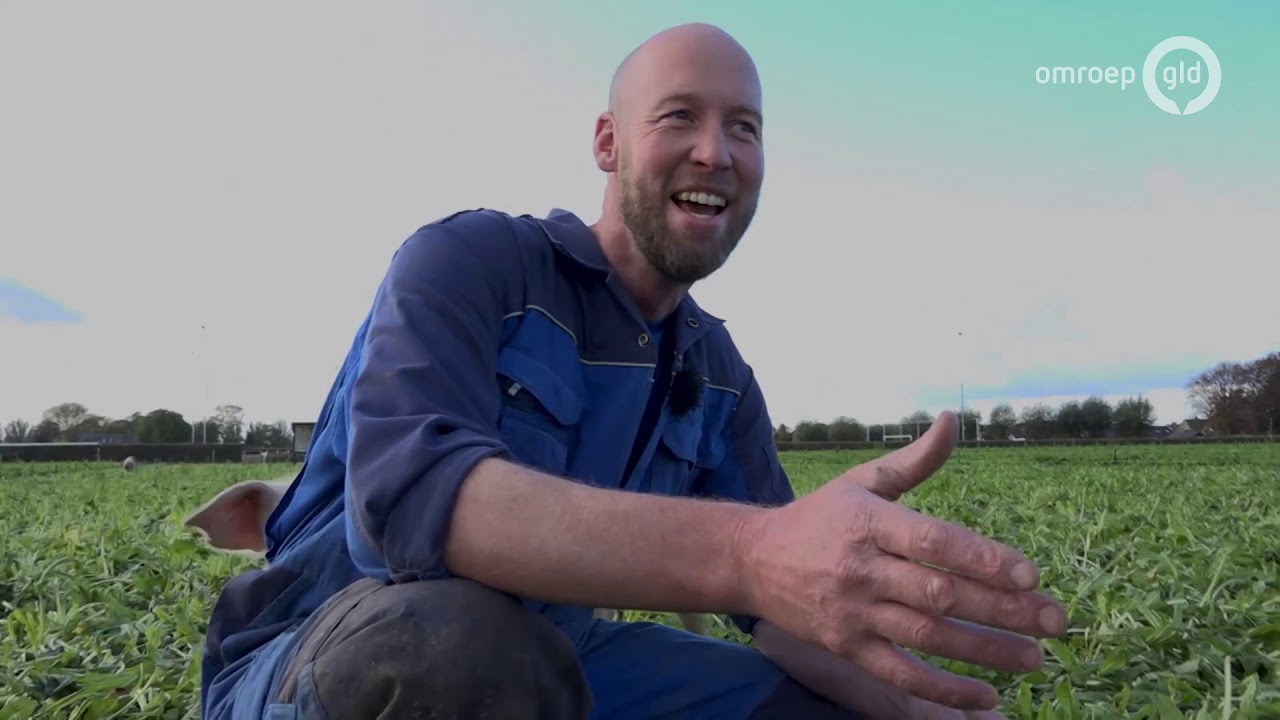 Jeroen boert op zijn eigen manier: 'ik verkoop zelf het vlees' - De Boer Is Troef