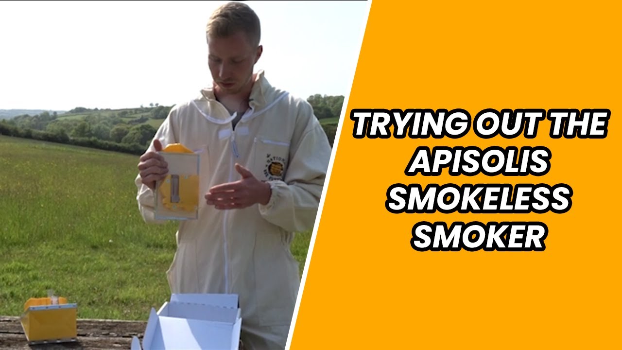 Beekeeping Guide: Apisolis Review