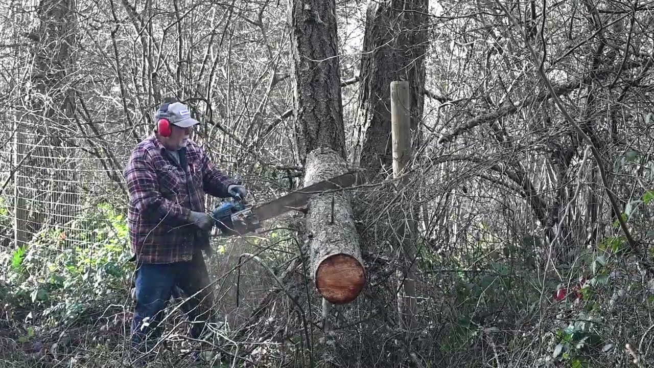 Just Another Vintage Homelite Super XL Chainsaw Video