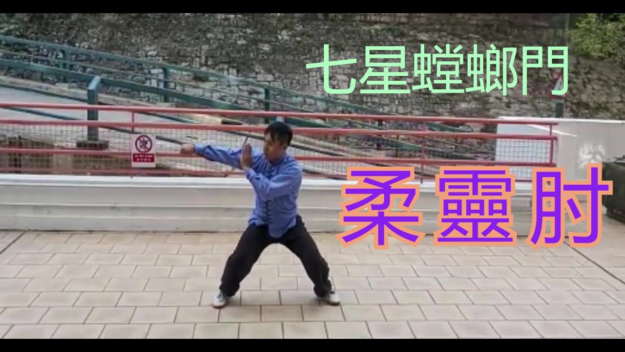 七星螳螂: 柔靈肘