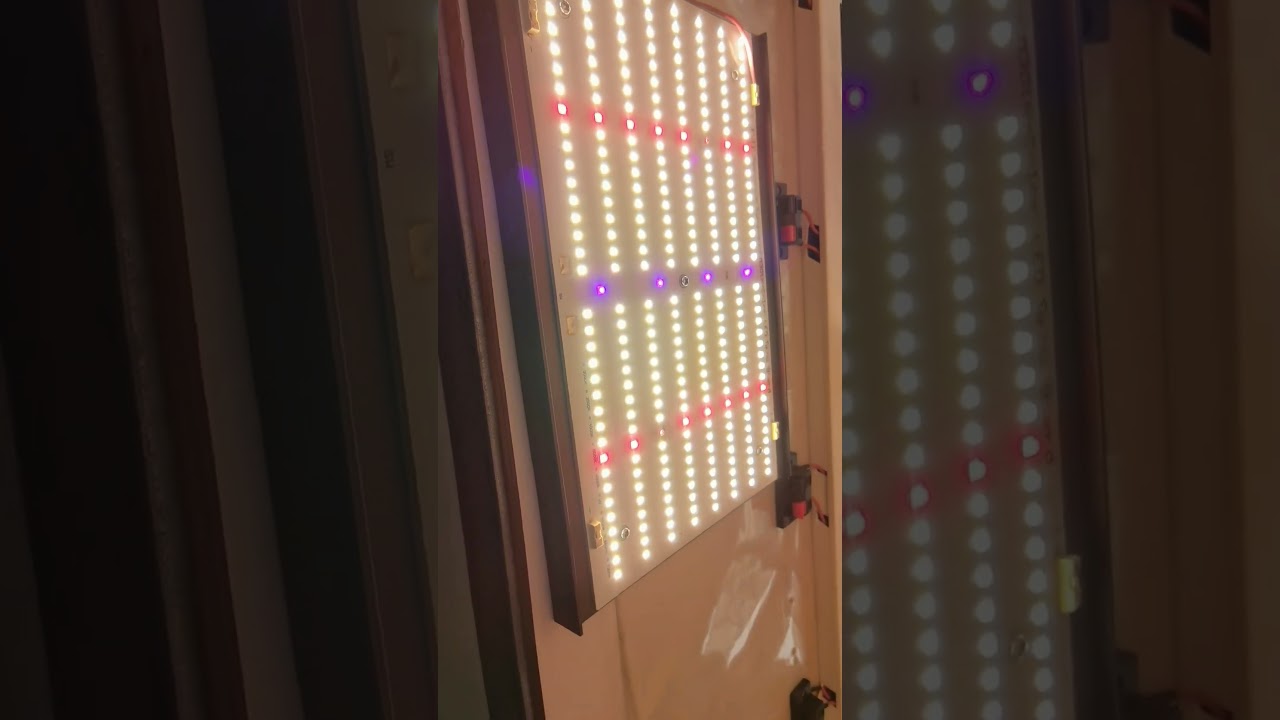 led grow light Samsung lm301h quantum board, Osram ssl1.24 IR chips and sun bar led grow light