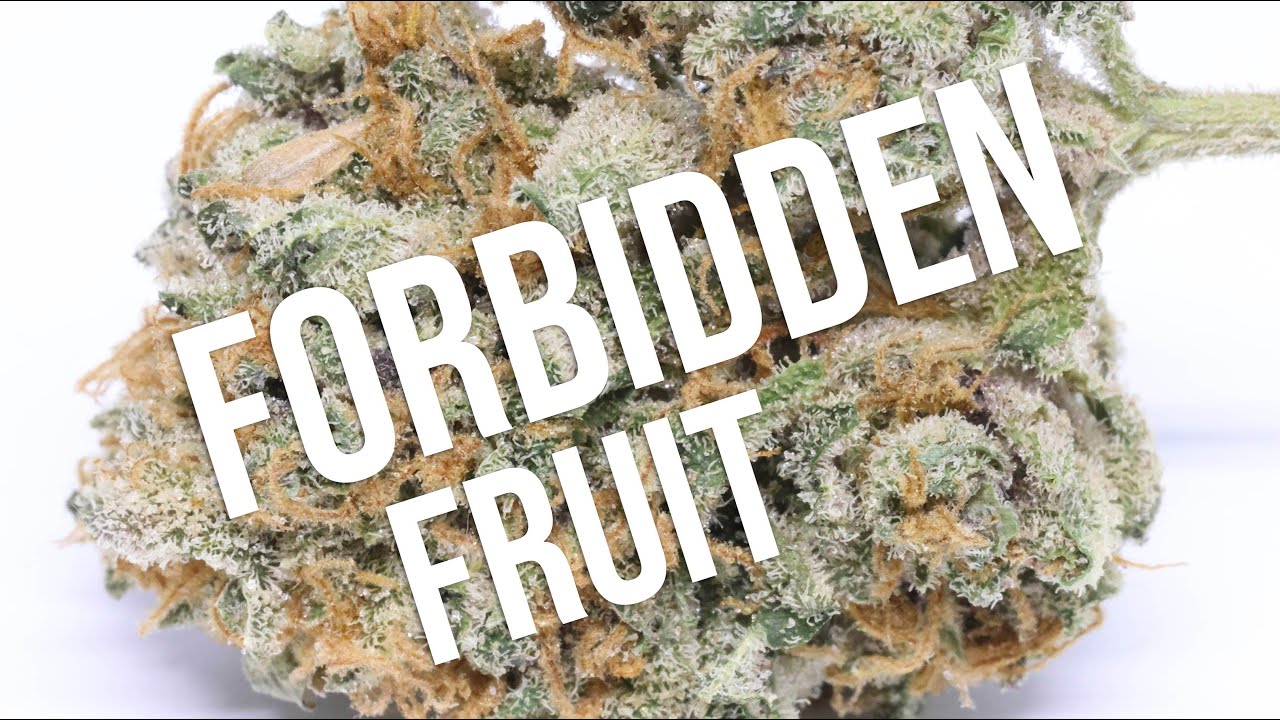 Forbidden Fruit
