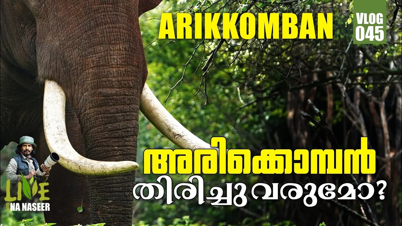 ARIKKOMBAN  ELEPHANT
