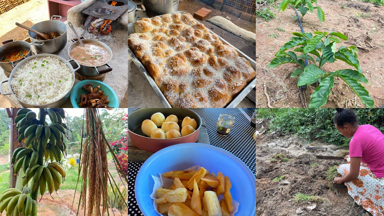 Acordando Cedo na Ro&ccedil;a: Caf&eacute; Quentinho no Fog&atilde;o a Lenha almo&ccedil;o caipira e rosca doce/trabalho na ro&ccedil;a