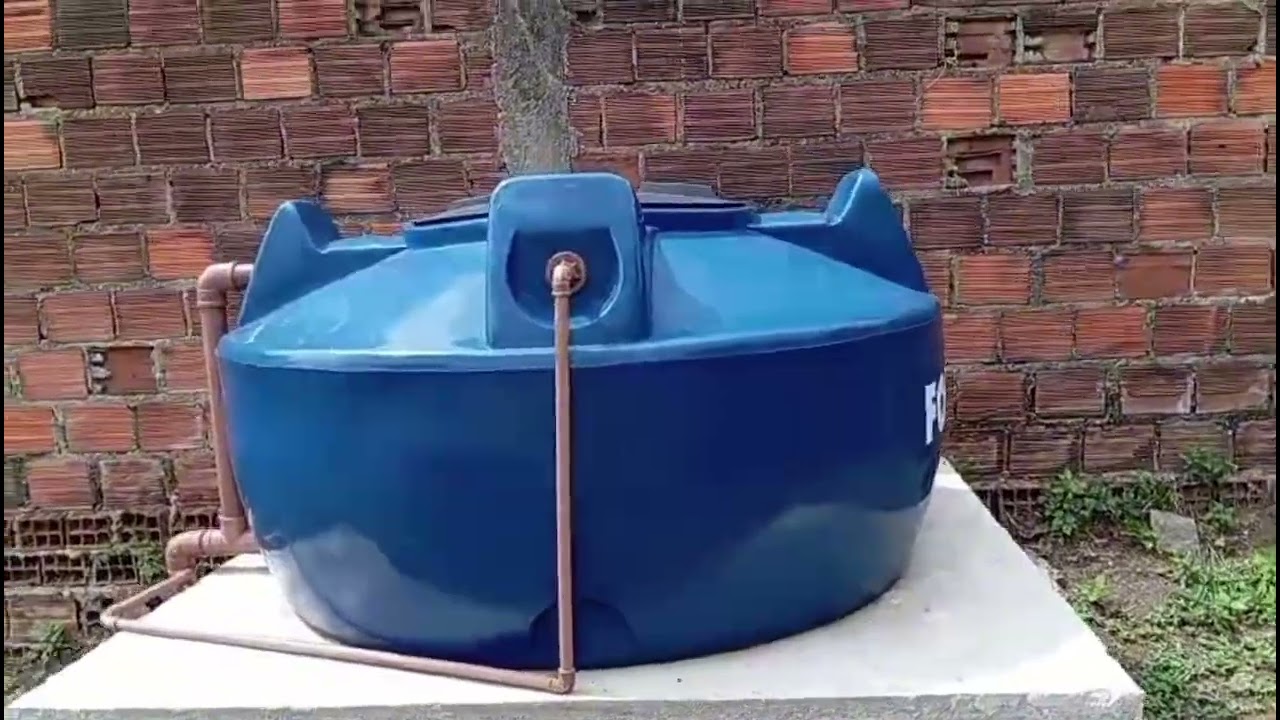 Dia da limpeza e da colheita na chácara JL 