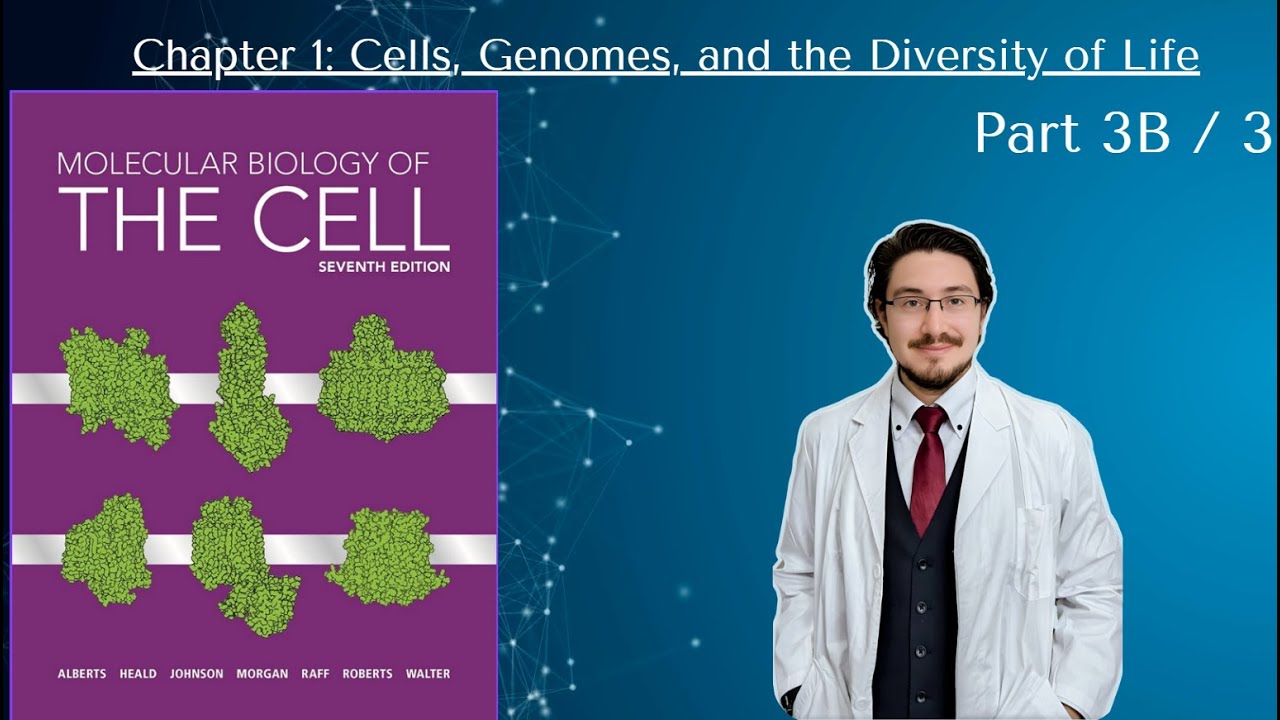 7thEd. Molecular Biology of the Cell   Chp 1, part 3B of 3; FINAL
