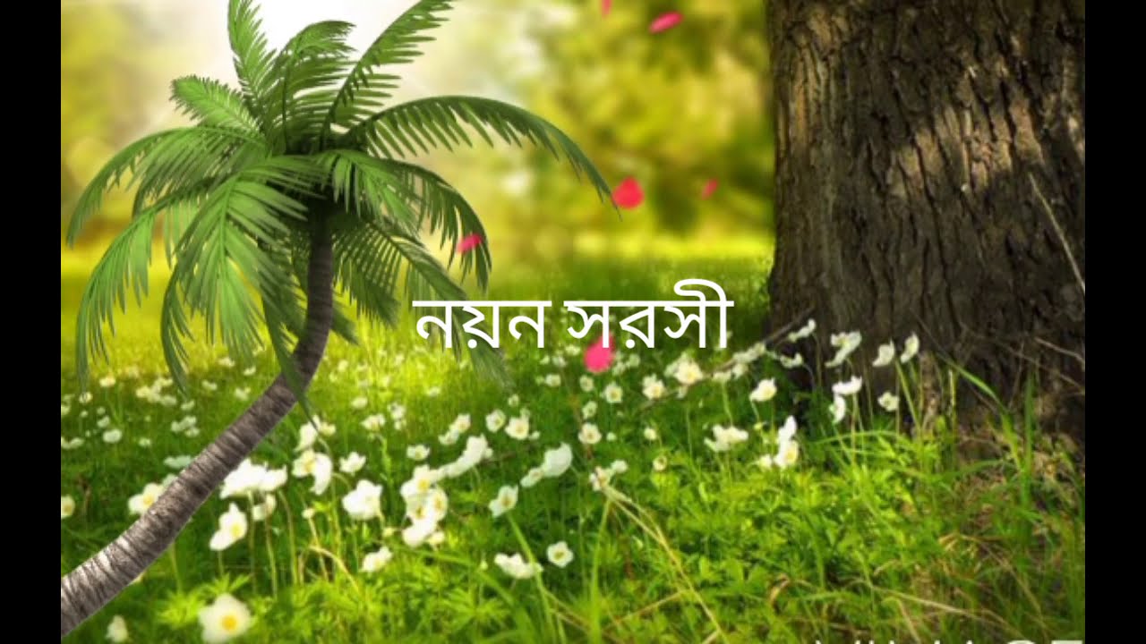 নয়ন সরসী কেন..........(bangali song)....