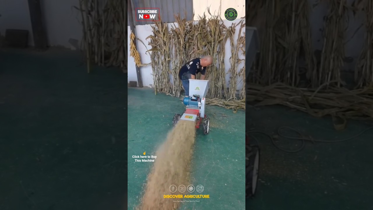 Amazing Mini Heavy-Duty Chaffcutter Machine