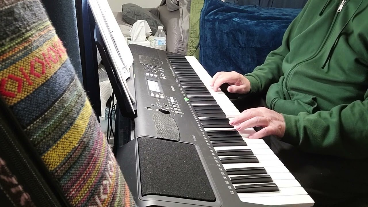 The Sound of Silence by Paul Simon played by John McDonald