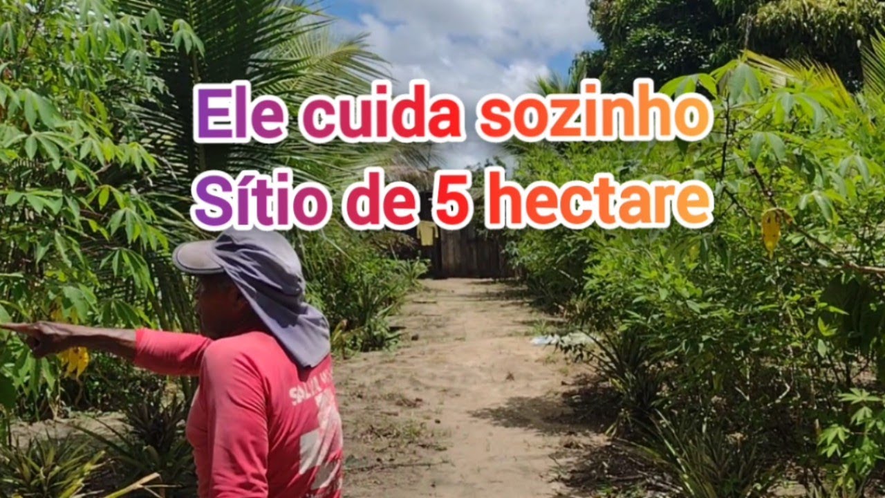 SÍTIO de 5 HECTARE tem de tudo nesse lugar #ilheus