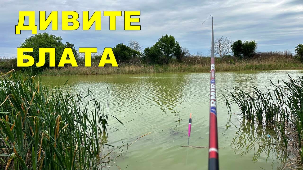 ИМА ли РИБИ в ТОЗИ ДИВ ВОДОЕМ - КАКВО УСПЯХ да ХВАНА на ЖИТО, СЛАДКА ЦАРЕВИЦА и БЯЛ ЧЕРВЕЙ