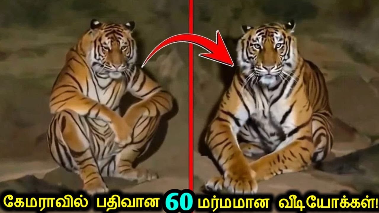 👻கேமராவில் பதிவான 60 மர்மமான வீடியோக்கள்!😨 | Creepy Videos Caught On Camera | Tamil Ultimate