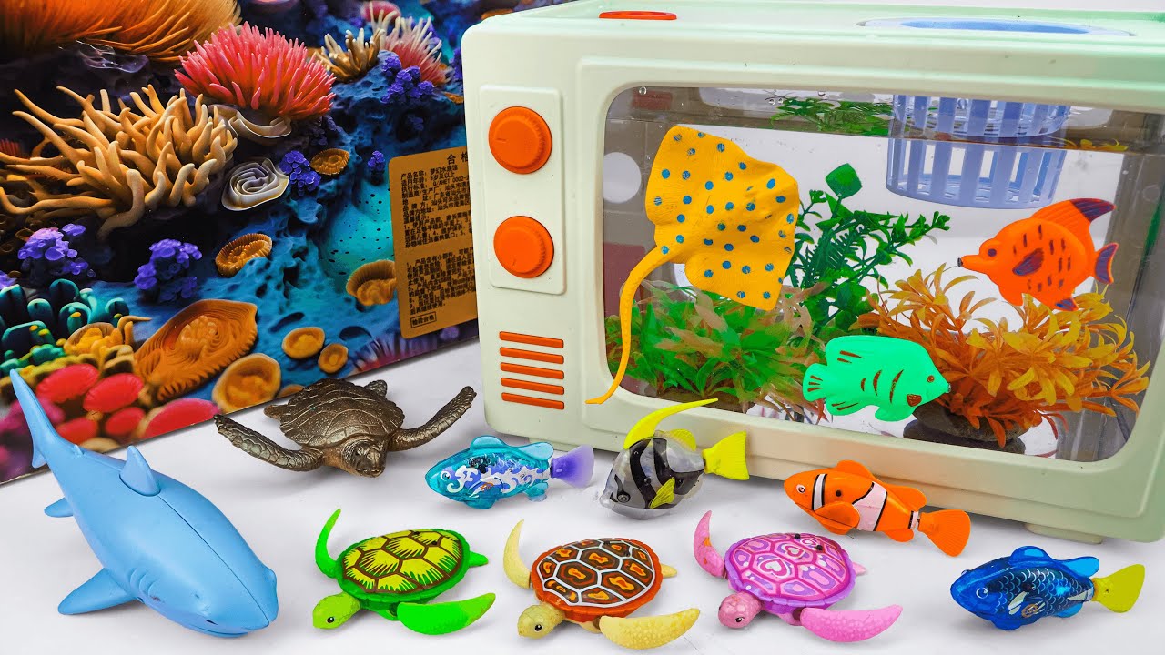 [🐟toy asmr🐠] Zuru Robo Fish ＆ Sea Animal Toys ＆ Mini TV Aquarium Playset ⭐ Satisfying with Unboxing