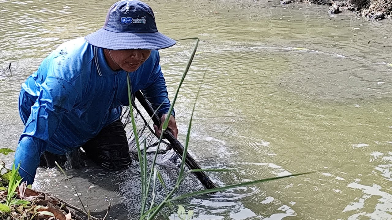 THÁI TUẤN 65 kéo lưới bắt cá 🐟