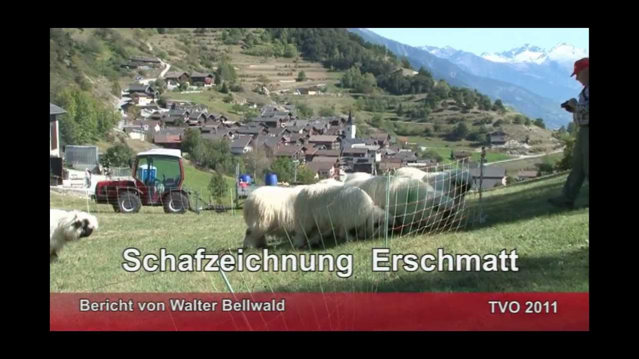 Schafzeichung Erschmatt