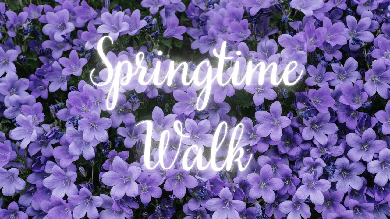 Relaxing Springtime Flower Walk