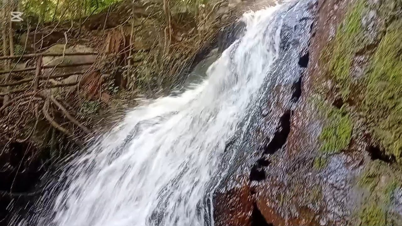 Nature Escape 🌳 Karura Forest Walk & Waterfall Experience. Karura Forest Waterfall |🏕
