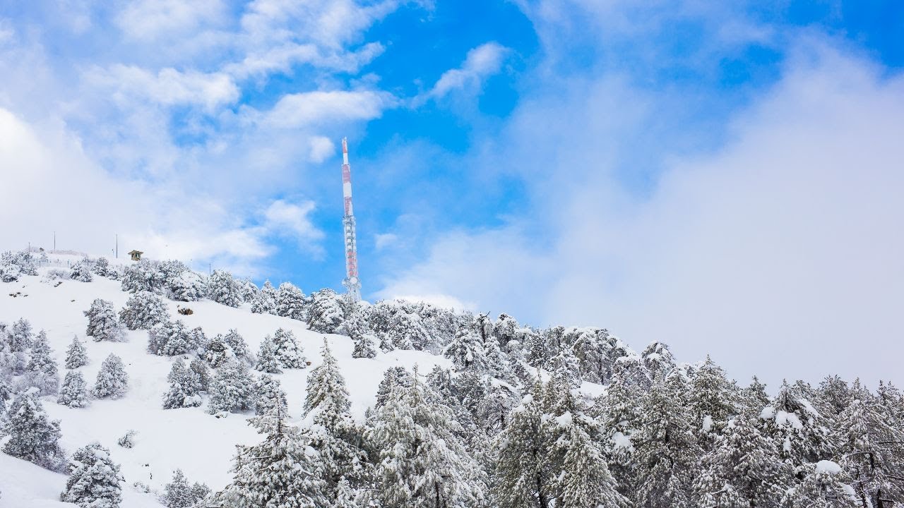 Snowy Winter Ambience | Relaxing Natural Snow Sounds