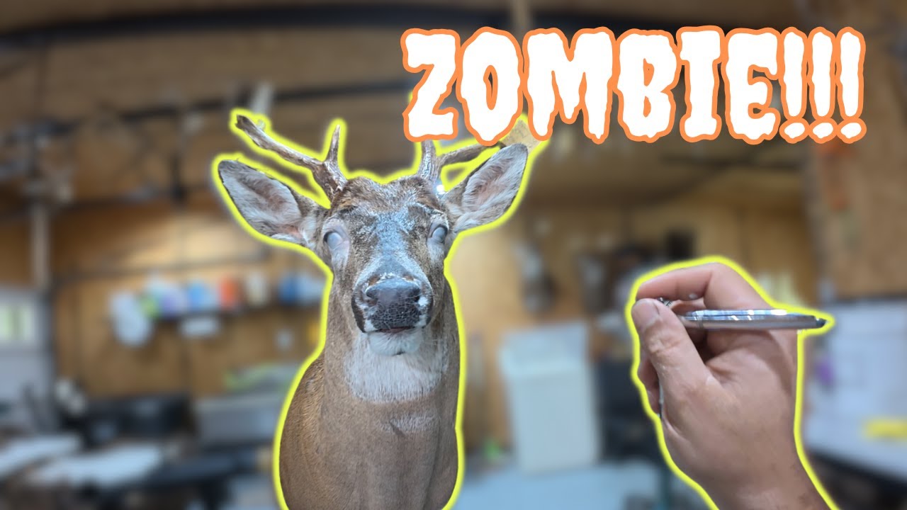 How to FINISH & PAINT a whitetail deer Step-by-Step