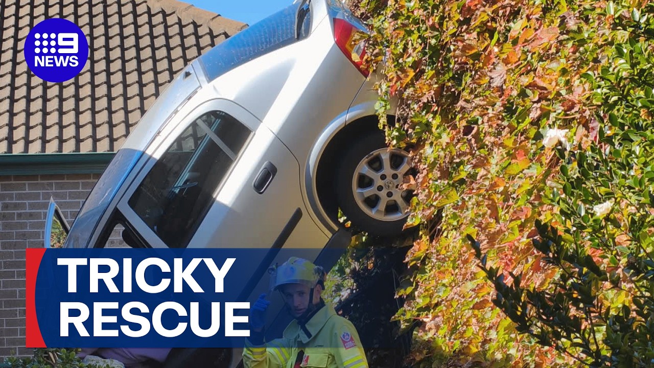 Complex rescue operation after elderly woman drives off embankment | 9 News Australia