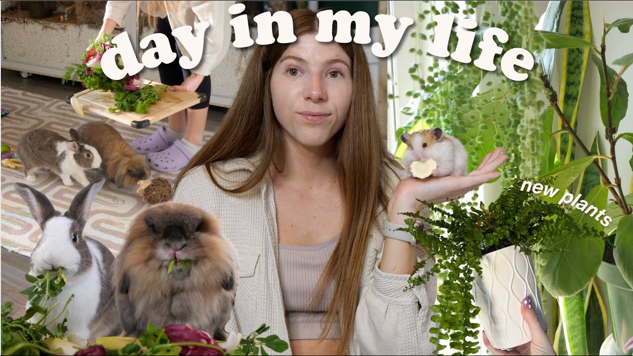 Day in the Life 🌷 pet chores, new plants & self care