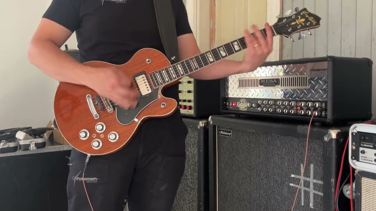 Mesa Dual Rectifier Multi-Watt - Hermansson Amplification