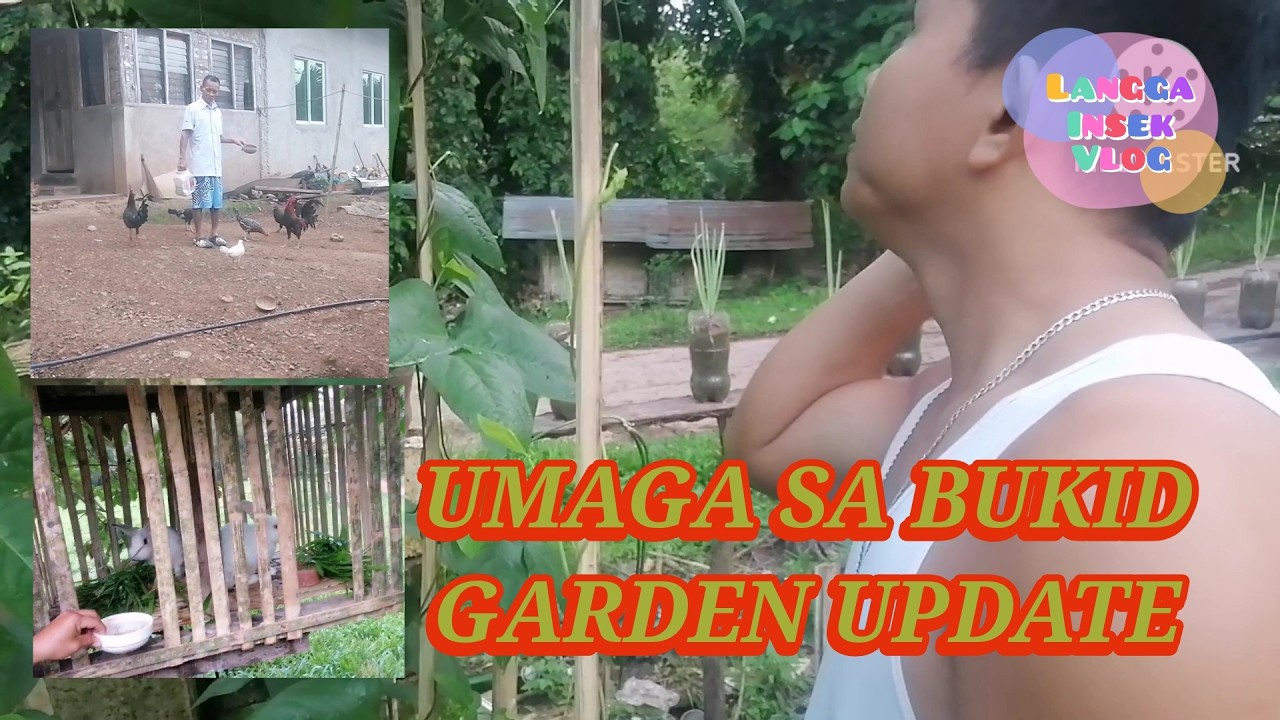 UMAGA SA BUKID AT UPDATE SA AMING MGA PANANIM