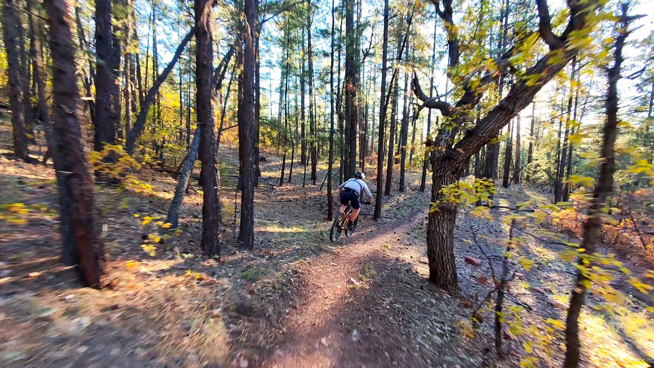 Mikes Rippin' Mountain Bike Trail in the Zuni Mountains