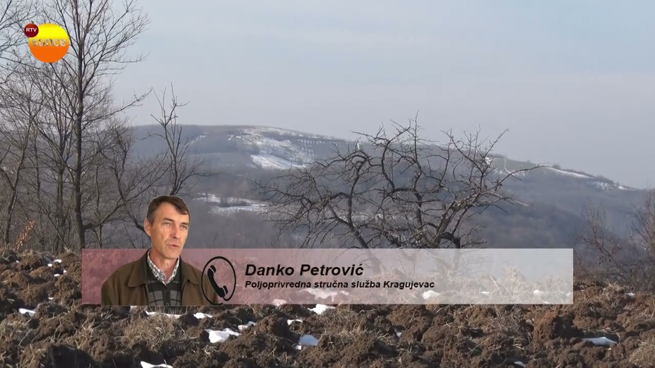 PSS KG - Sneg i mraz pogoduju voćkama i vinogradima