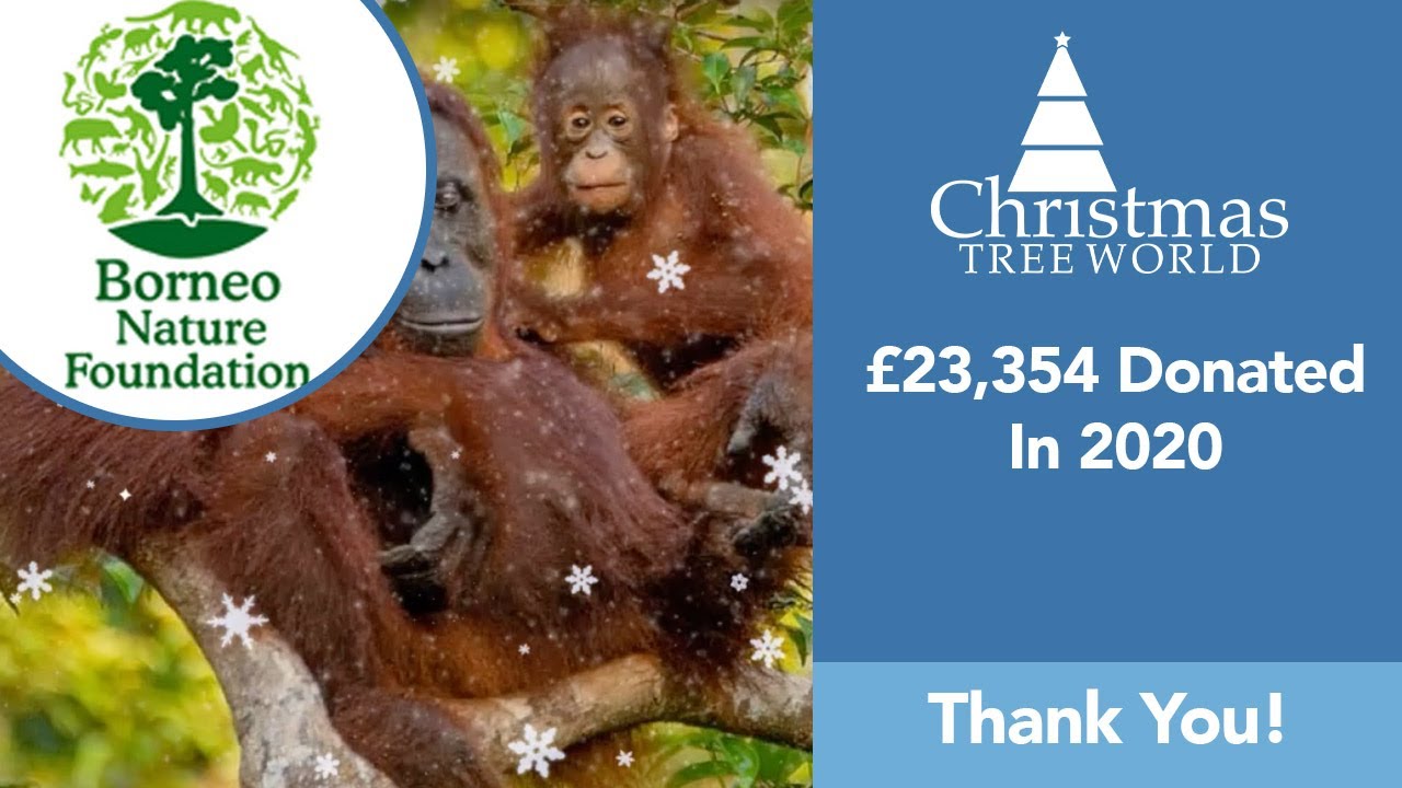 We&rsquo;ve Donated Even More to the Borneo Nature Foundation This Year!