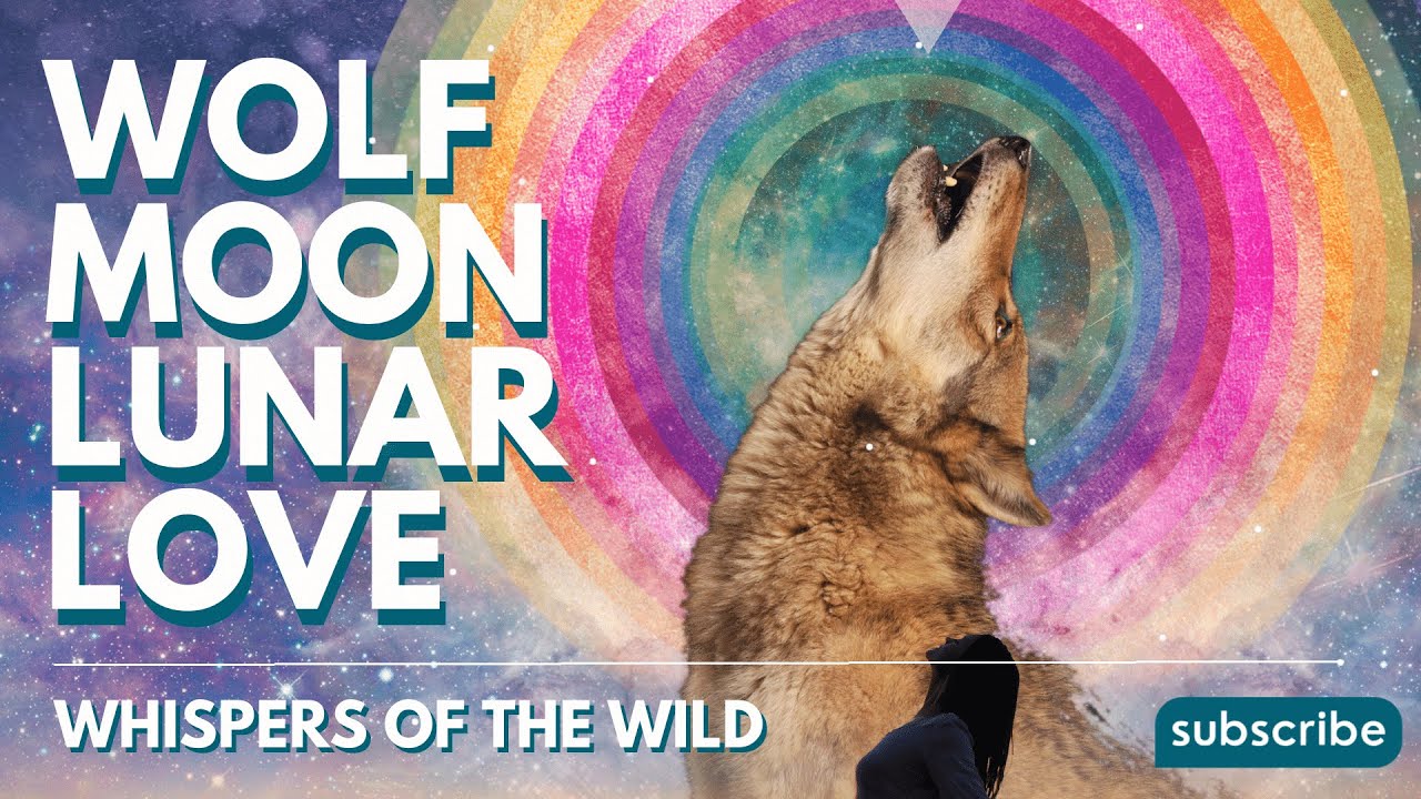 Wolf Guided Moon Meditation 🌕🐺 Full MOON~January 2024