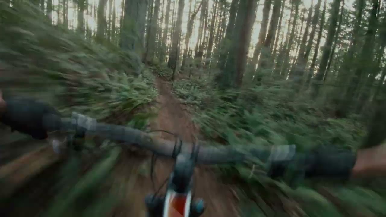 EP 5 // Forge and Bond Carbon Wheels Review