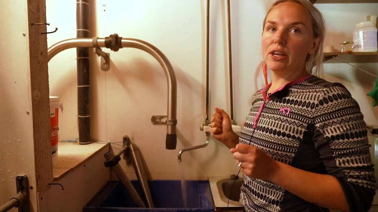 Vasking etter mjølking