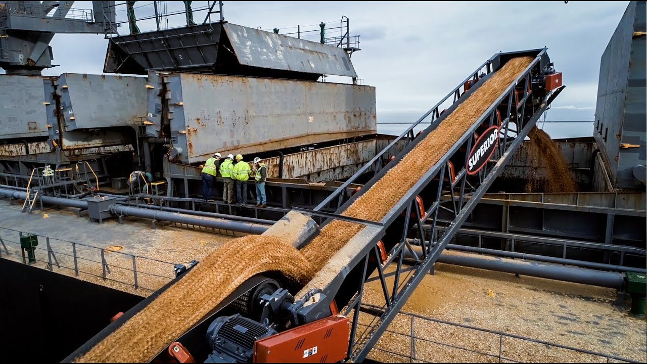 Mobile Conveying Ship Loading Solutions