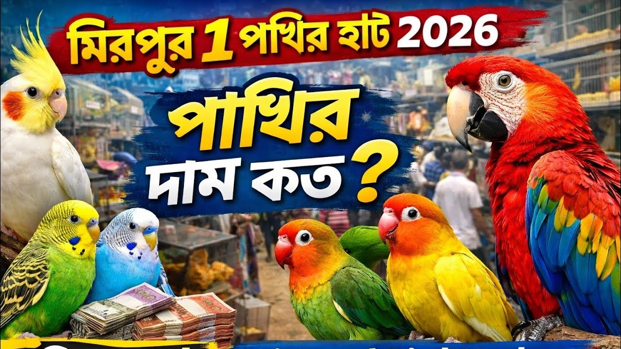মিরপুর ১ পাখির হাট ২০২৬ 😱 | কোন পাখির দাম কত? | Mirpur 1 Bird Market Dhaka Full Tour