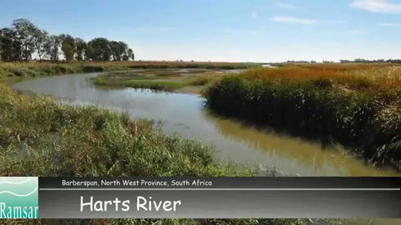 SA Ramsar - Barberspan
