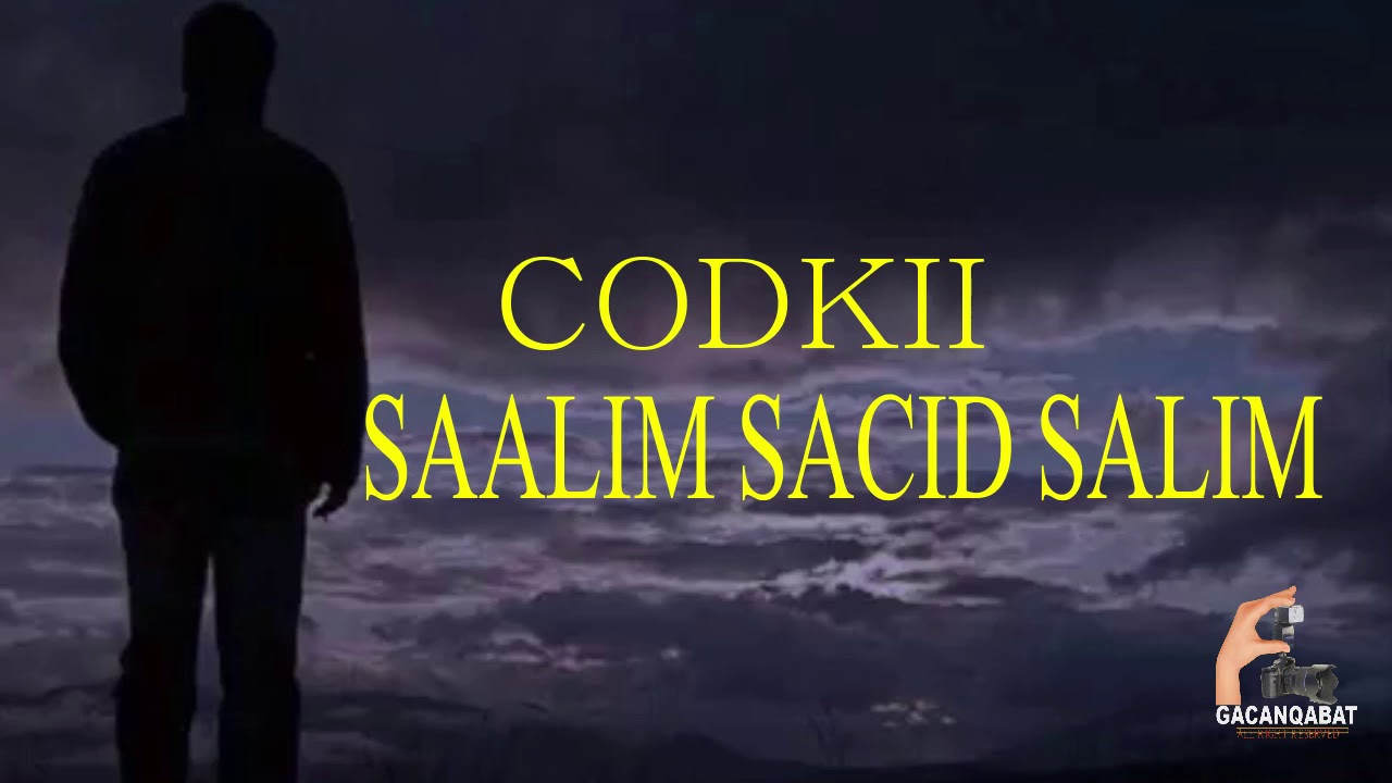 HEESTII ADUUNYO LYRICS SAALIM SACID SAALIM