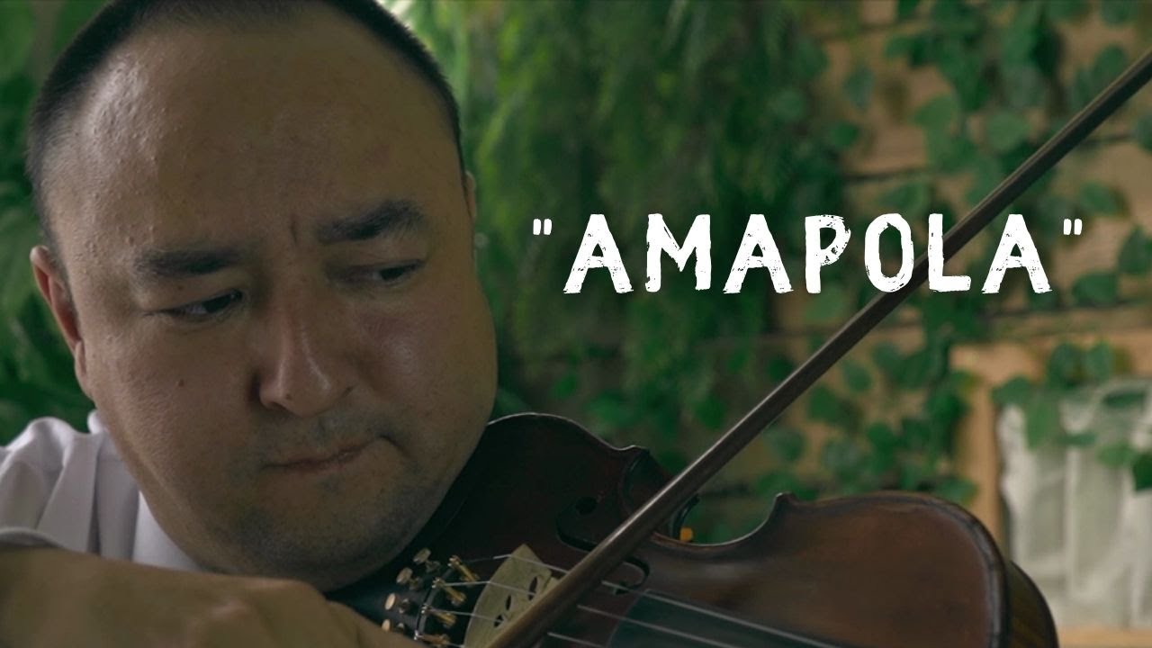 Amapola / violin cover / скрипка / music / Arman / Классическая музыка. На скрипке