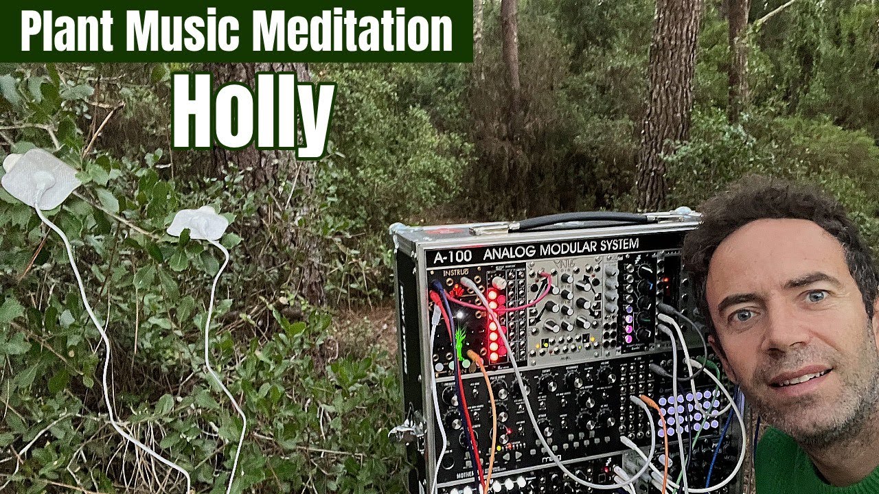 Holly Meditation: Unlock Emotional Healing
