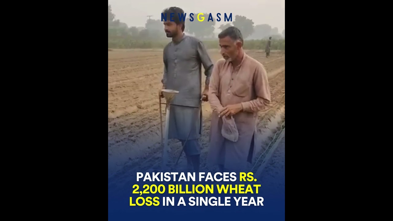Pakistan&rsquo;s Agriculture Faces Rs. 2,200 Billion Wheat Loss | FY25 Crop Sector Crash