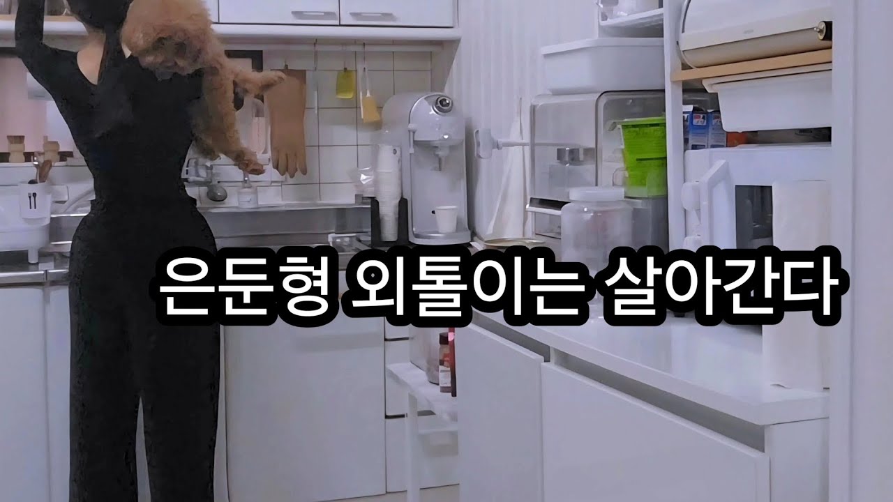 은톨이 세상은 강아지와 고양이❤️분모자 떡볶이 순대 배 먹방