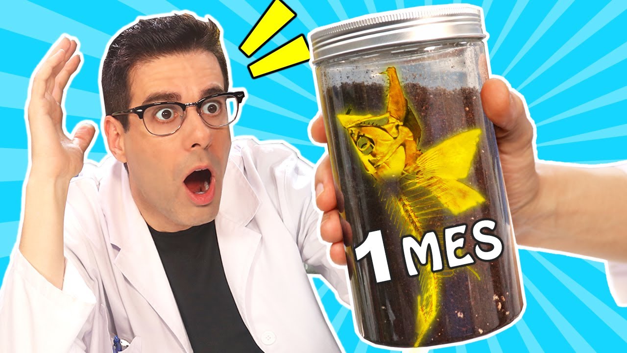 Dejando COMIDA 1 MES EN TIERRA | Experimentos Curiosidades con Mike - T4 E20