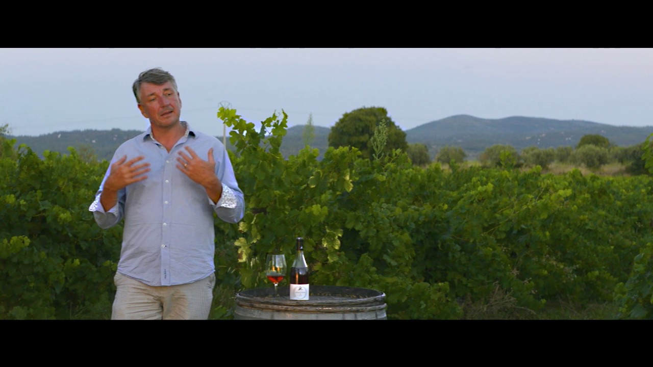 Future of Natural Wine