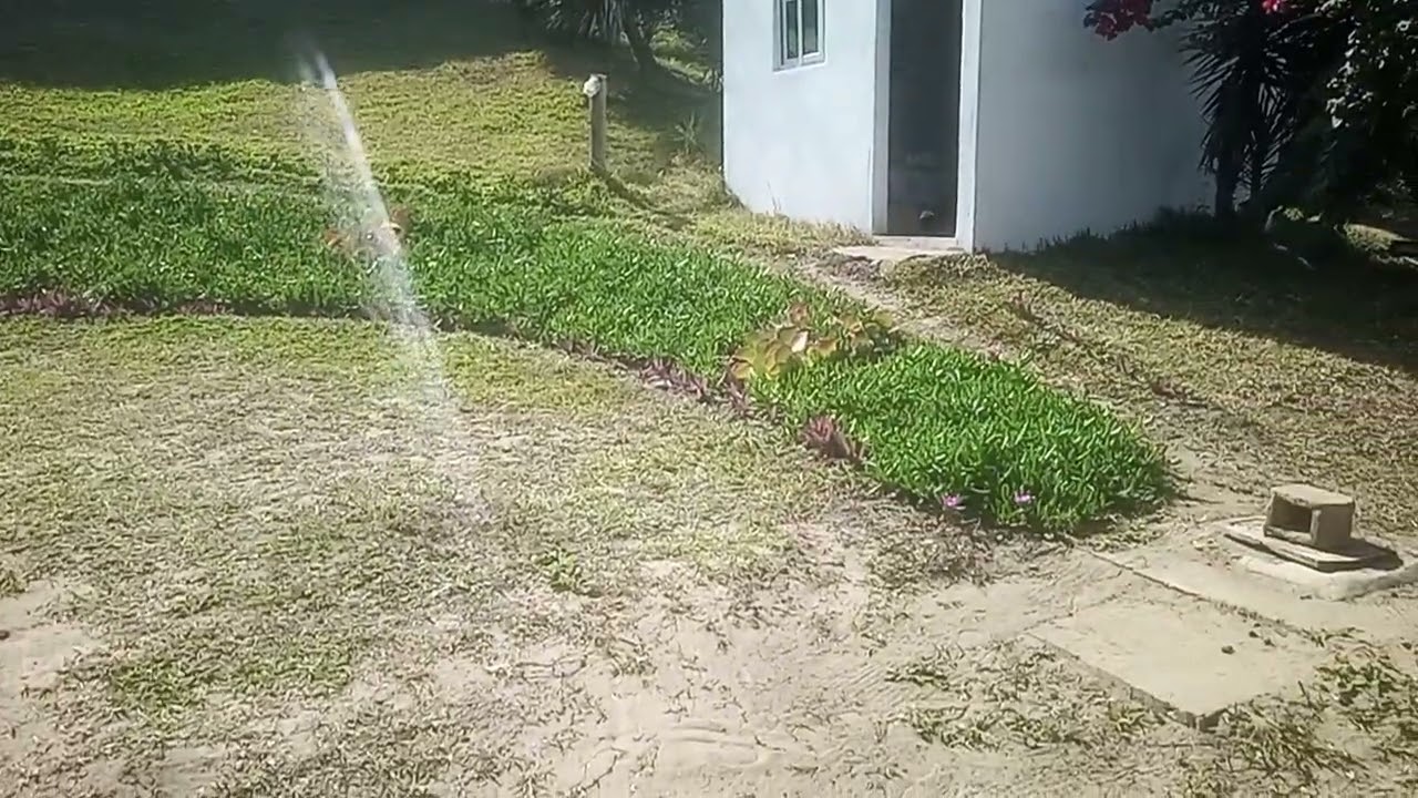 uma paisagem histórica no espaço interior criada por mim que jamais deve ser esquecida