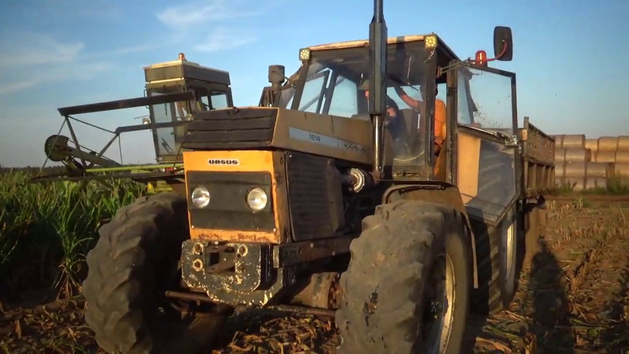 ✔KUKURYDZA NA KISZONKE 2019!!✔ 2xUrsus 2xCase Fortschritt✔