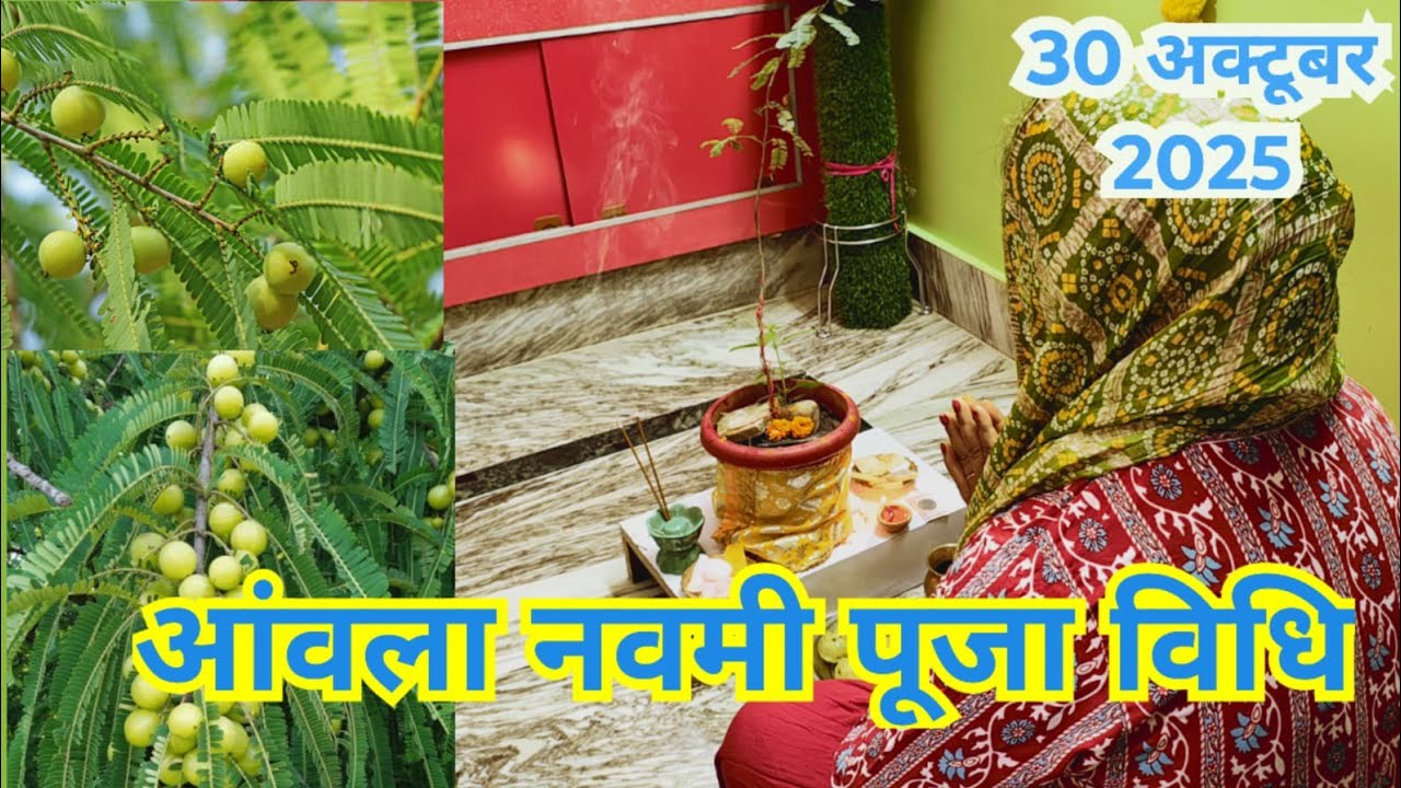 आंवला नवमी अक्षय नवमी पूजा विधि || Amla Navami akshy navmi Puja vidhi