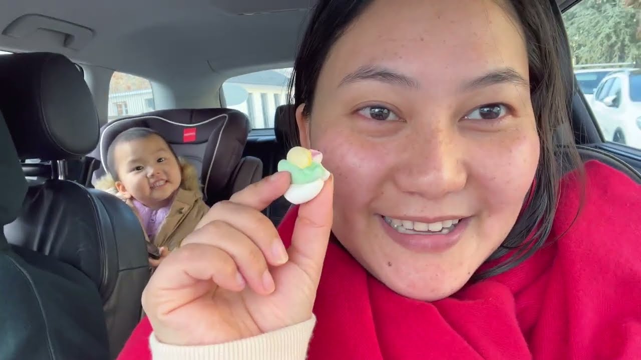 Gonna take a day off from house chores today 🏠 🥱 #tibetanvlogger
