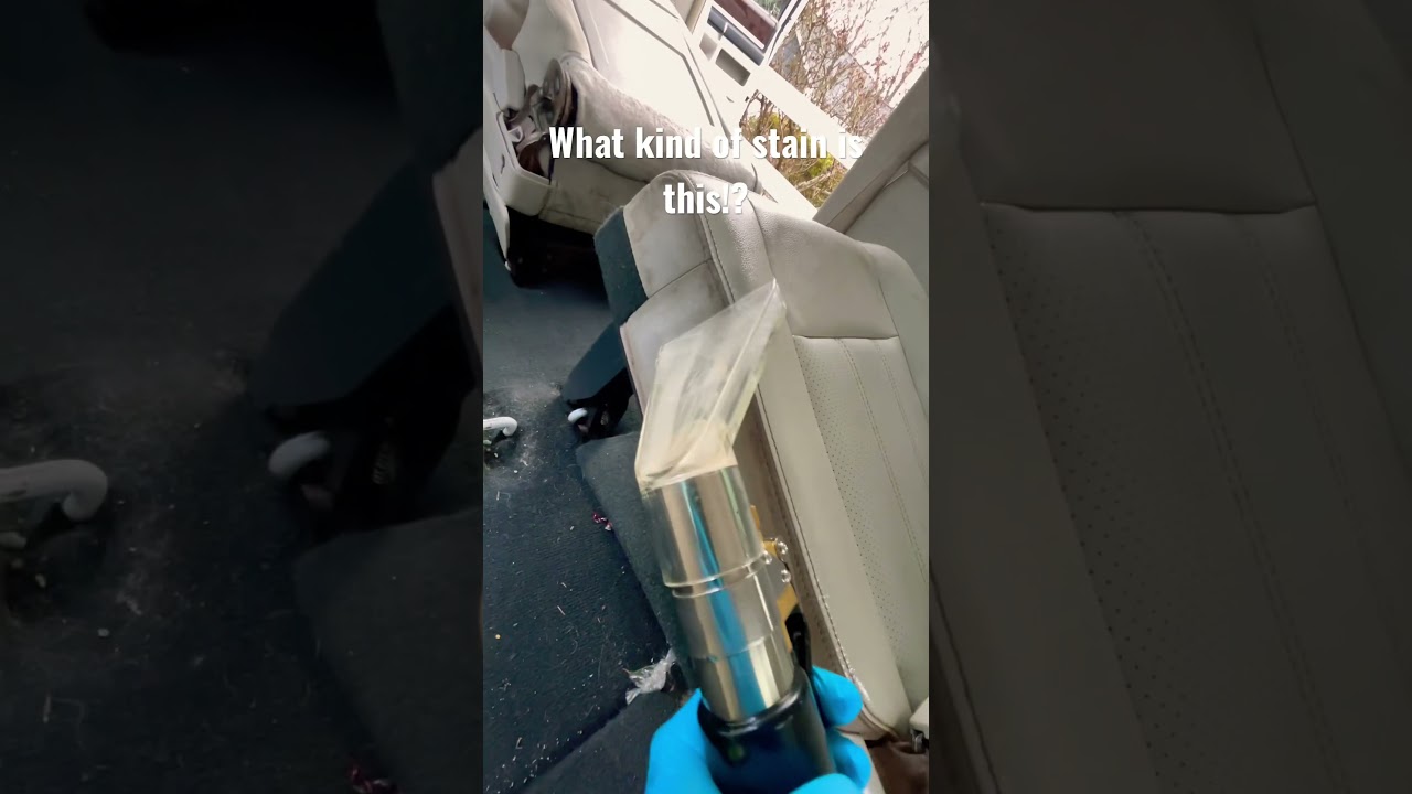 What Kind of Stain is THIS!? #detailing