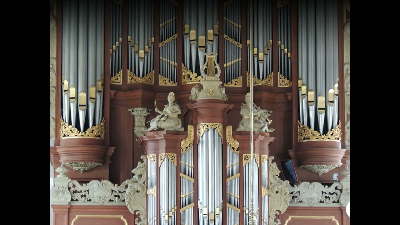 Fred Vink speelt 'Psalm 91' (Margreeth de Jong)