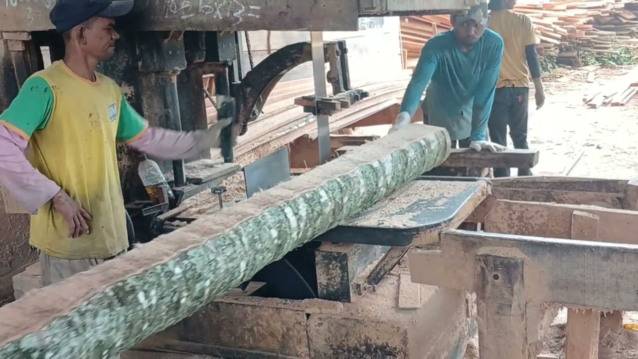 Building with Coconut Trees &ndash; Why This Timber Beats Steel!